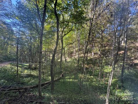9 Susanna Cove Mars Hill NC 28754