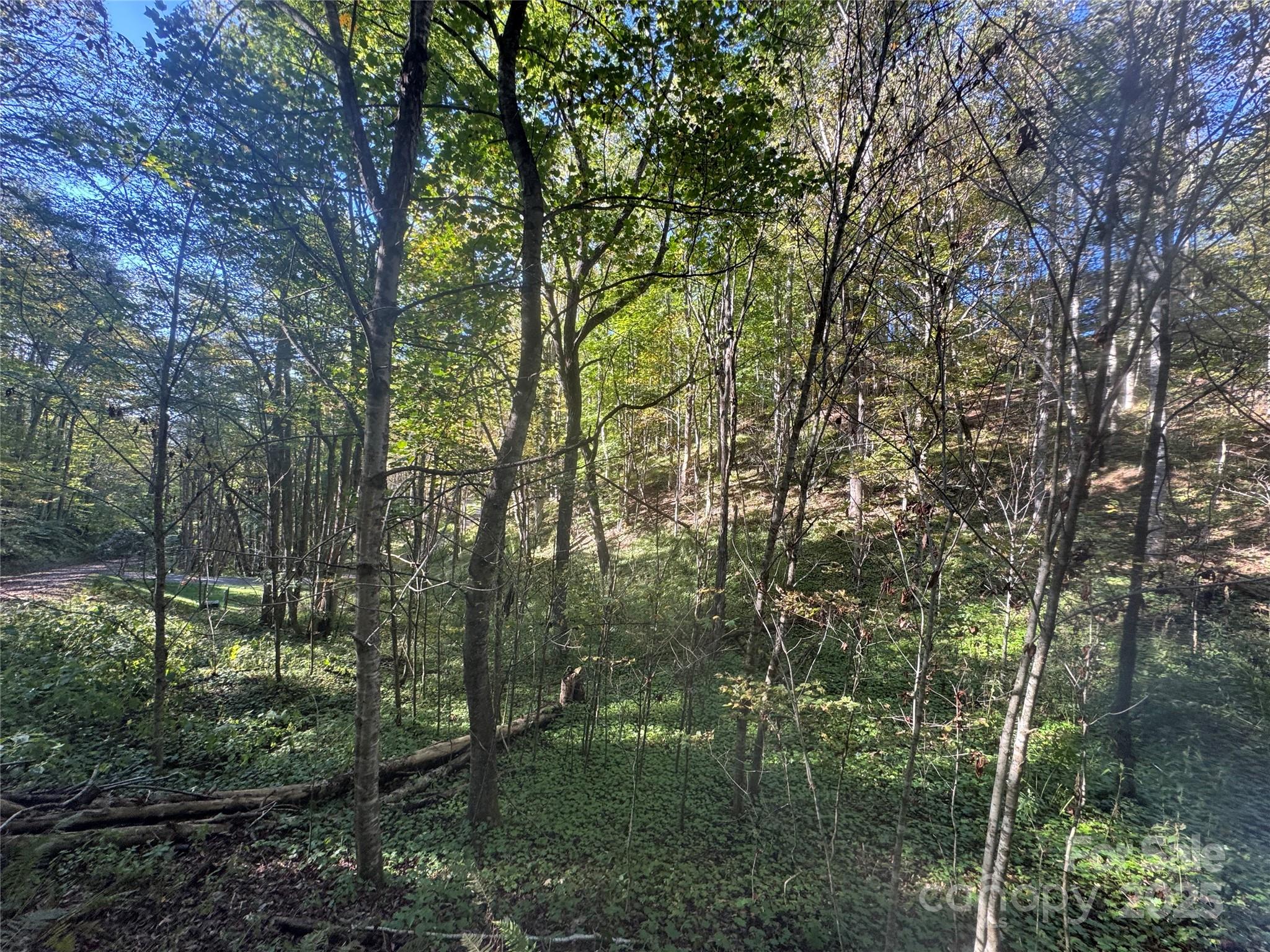 9 Susanna Cove Mars Hill NC 28754