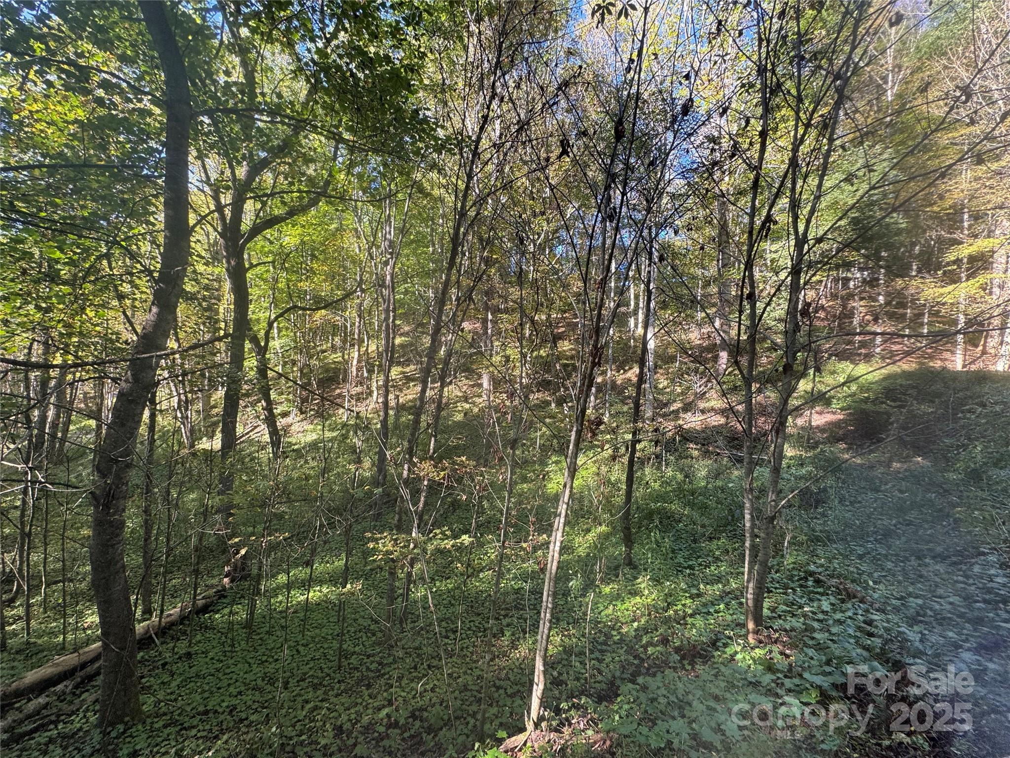 9 Susanna Cove Mars Hill NC 28754