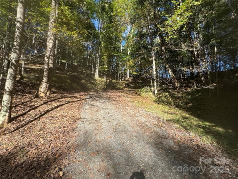 9 Susanna Cove Mars Hill NC 28754