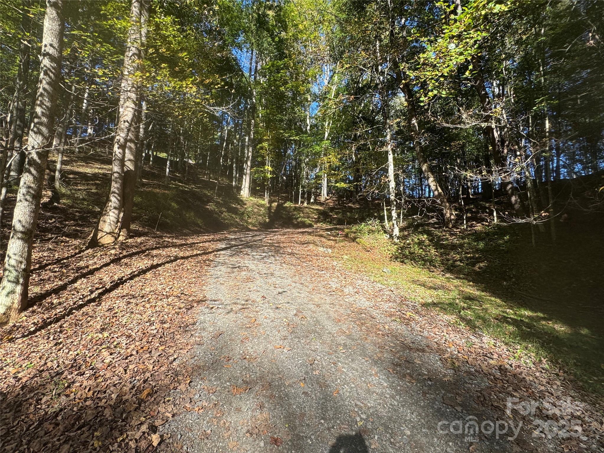 9 Susanna Cove Mars Hill NC 28754