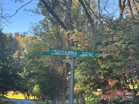 9 Susanna Cove Mars Hill NC 28754