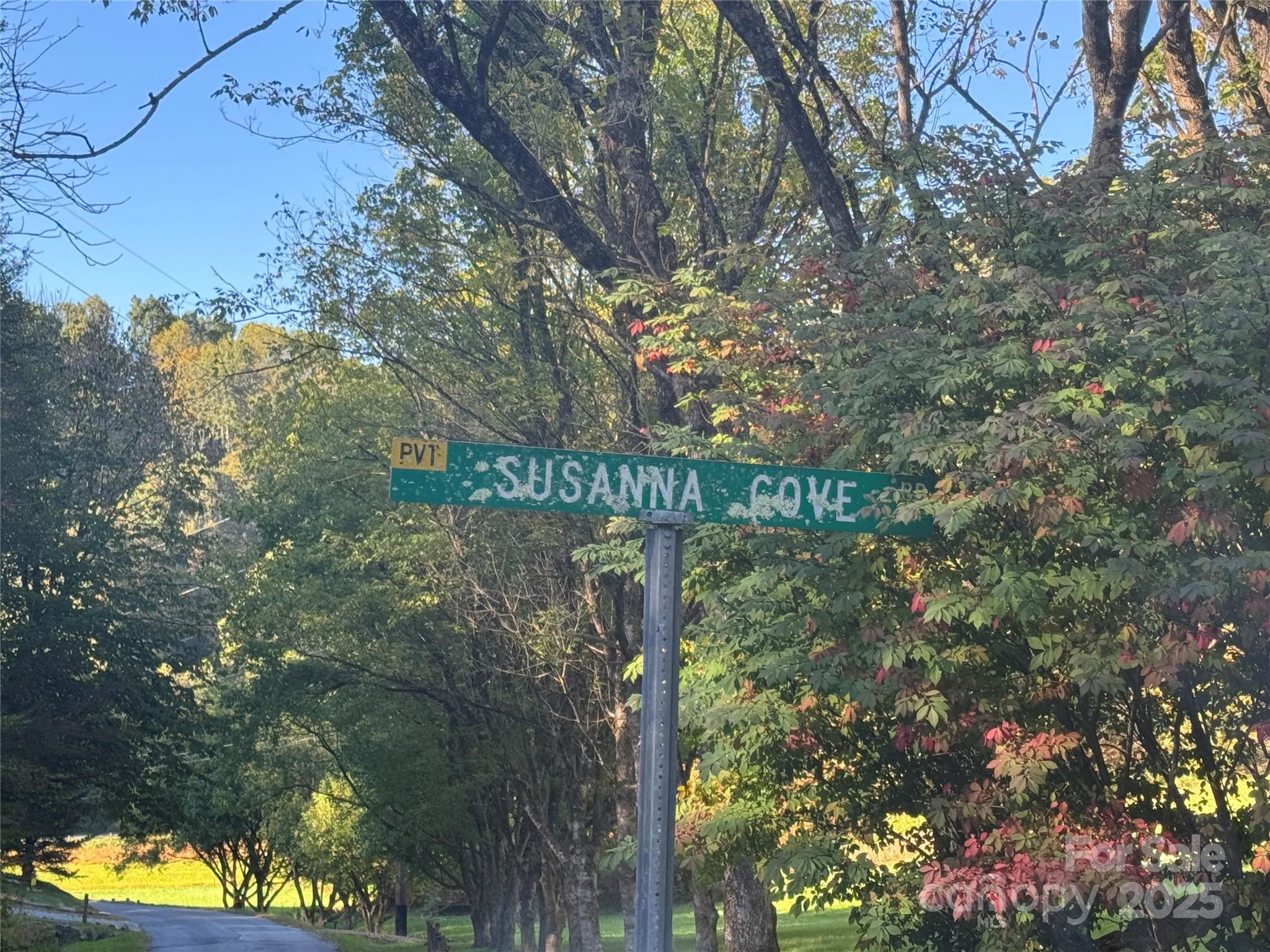 9 Susanna Cove Mars Hill NC 28754