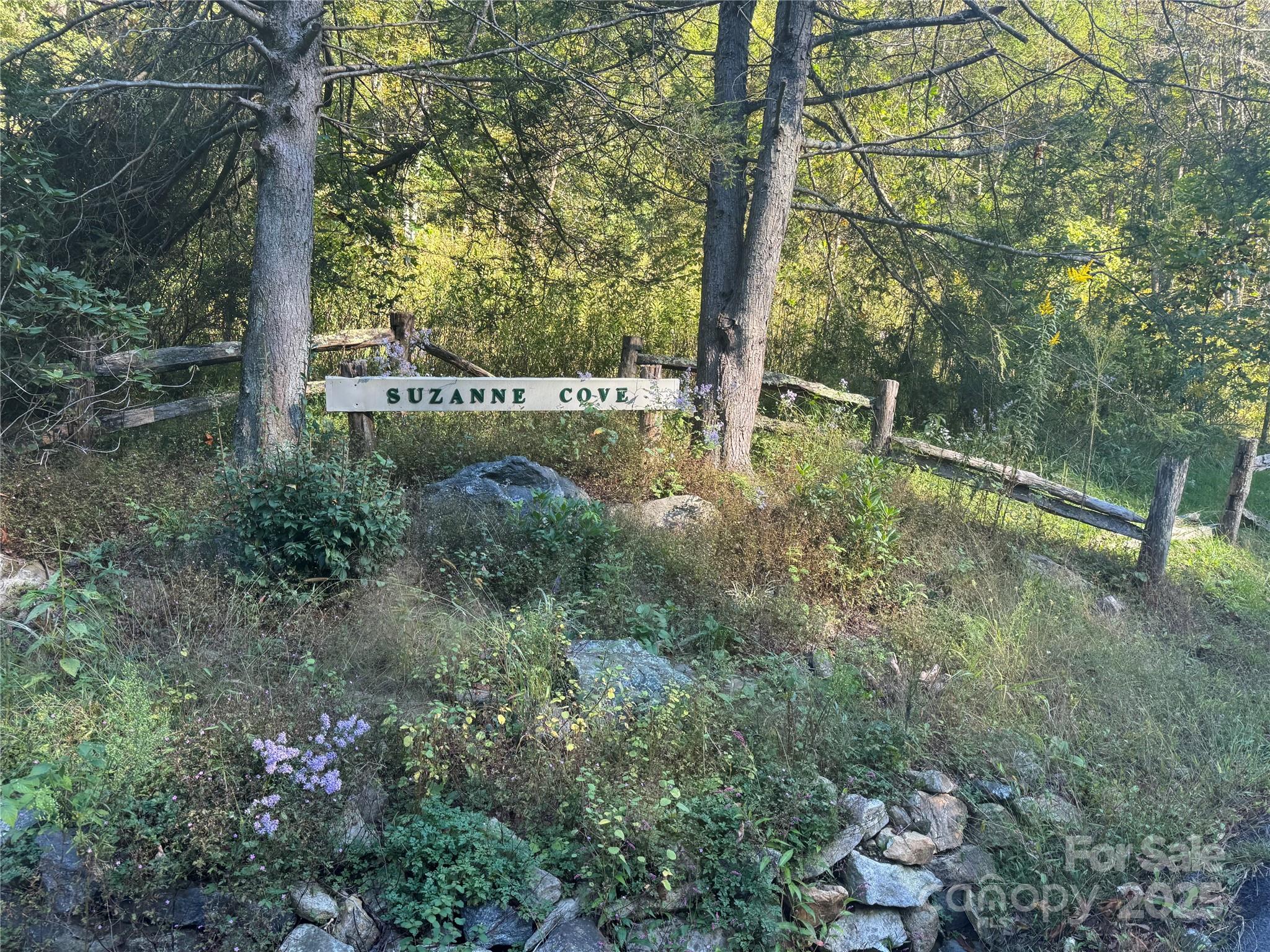 9 Susanna Cove Mars Hill NC 28754