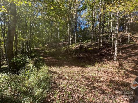 9 Susanna Cove Mars Hill NC 28754