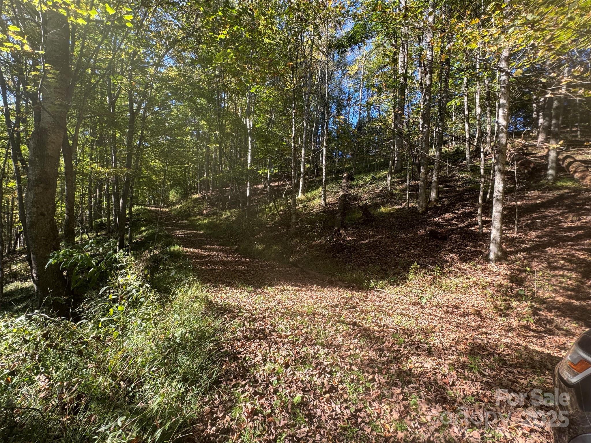 9 Susanna Cove Mars Hill NC 28754