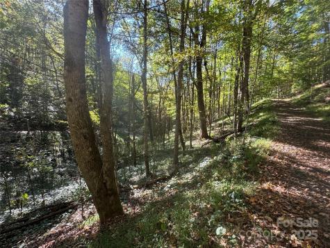 9 Susanna Cove Mars Hill NC 28754