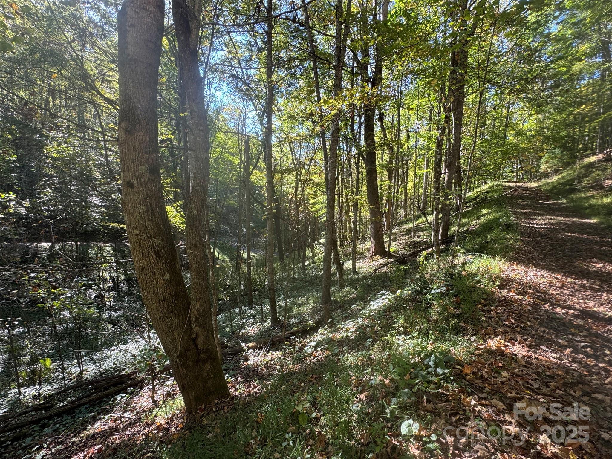 9 Susanna Cove Mars Hill NC 28754
