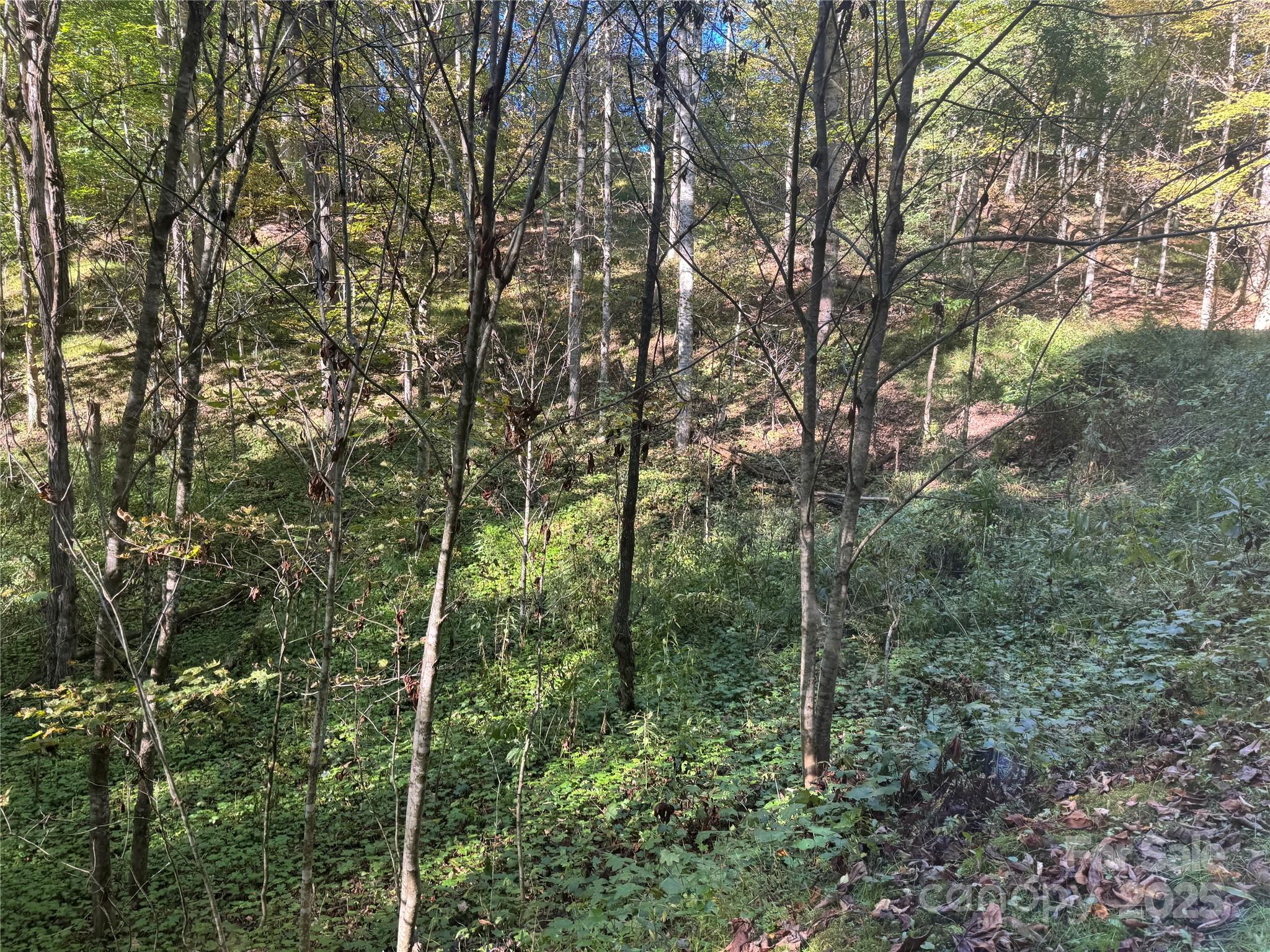 9 Susanna Cove Mars Hill NC 28754