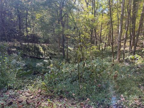 9 Susanna Cove Mars Hill NC 28754
