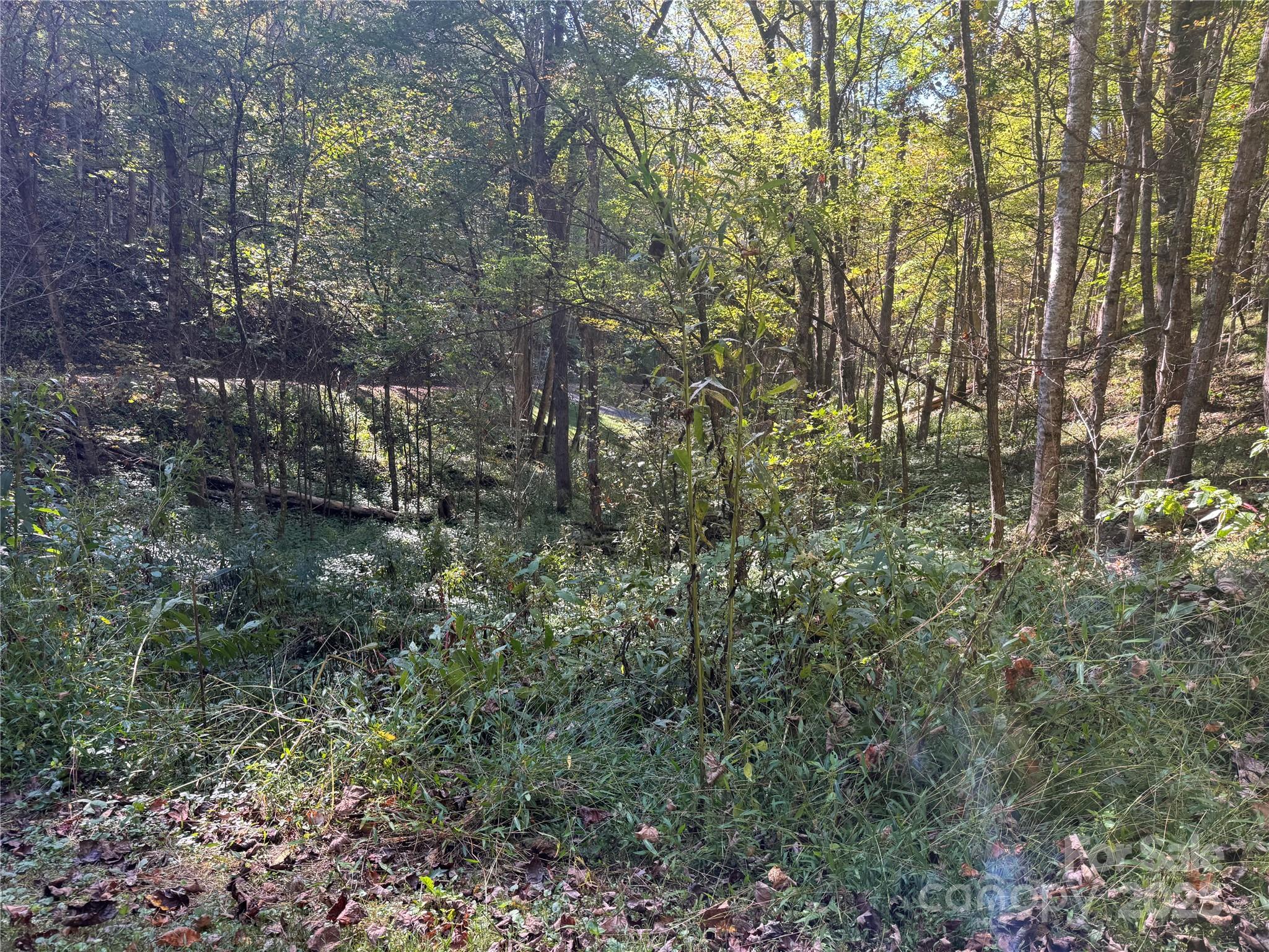 9 Susanna Cove Mars Hill NC 28754