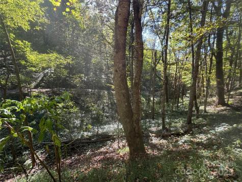 9 Susanna Cove Mars Hill NC 28754