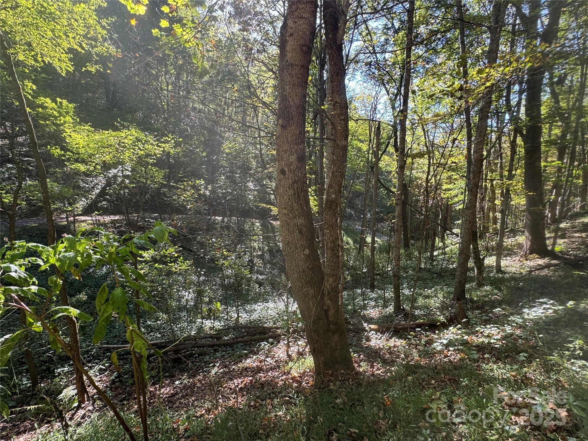 9 Susanna Cove Mars Hill NC 28754
