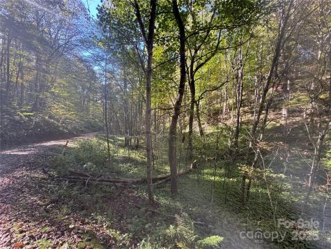 9 Susanna Cove Mars Hill NC 28754