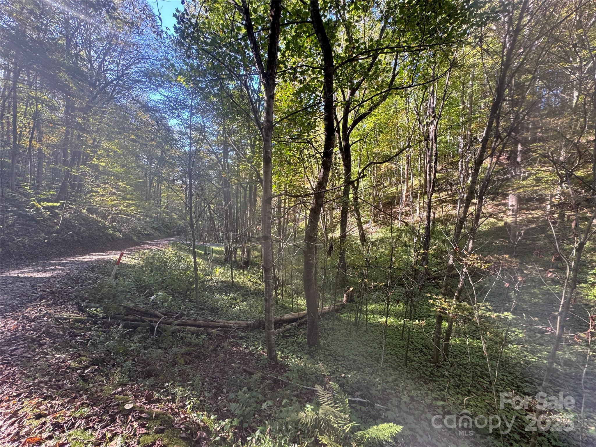 9 Susanna Cove Mars Hill NC 28754