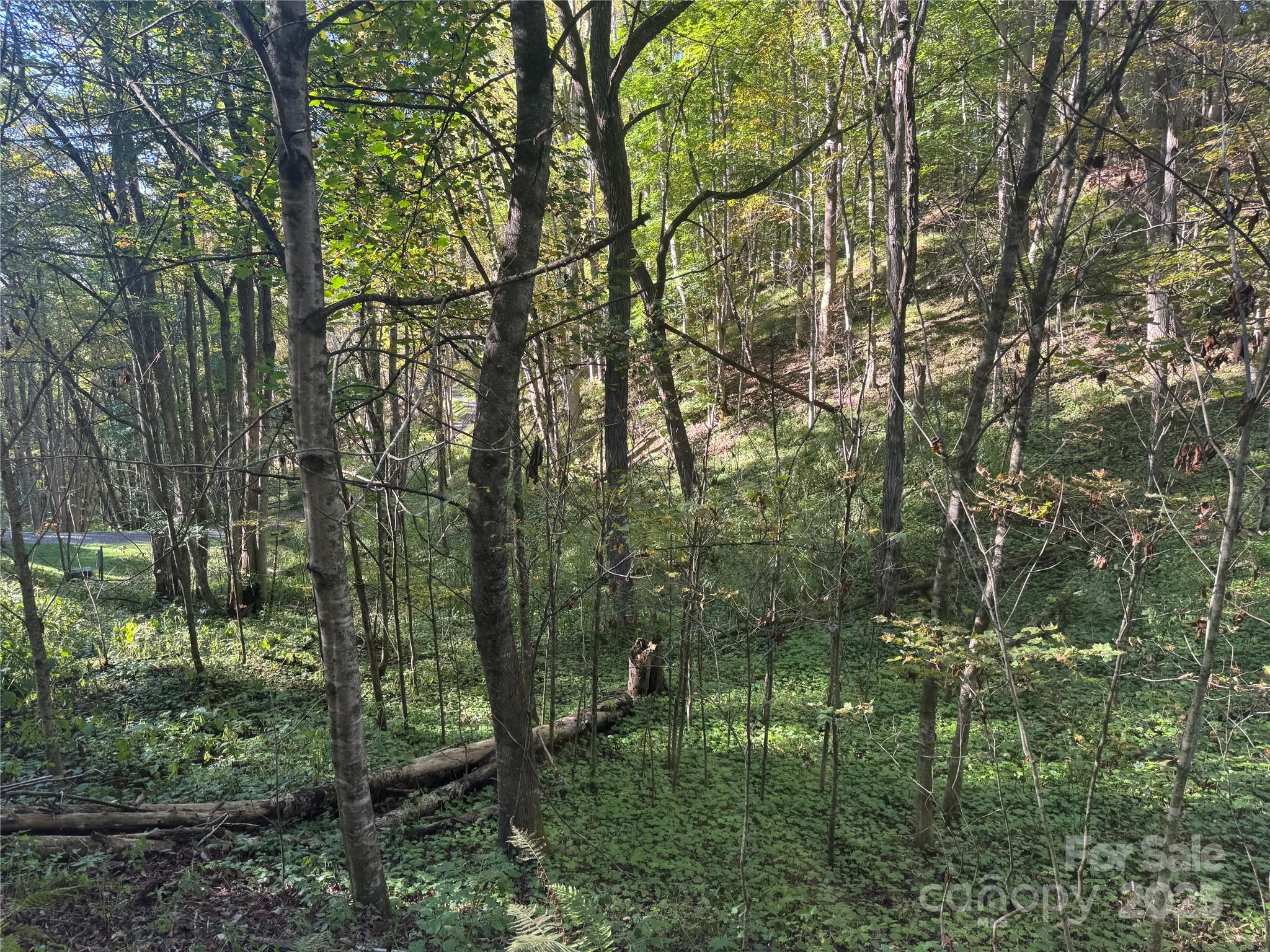 9 Susanna Cove Mars Hill NC 28754