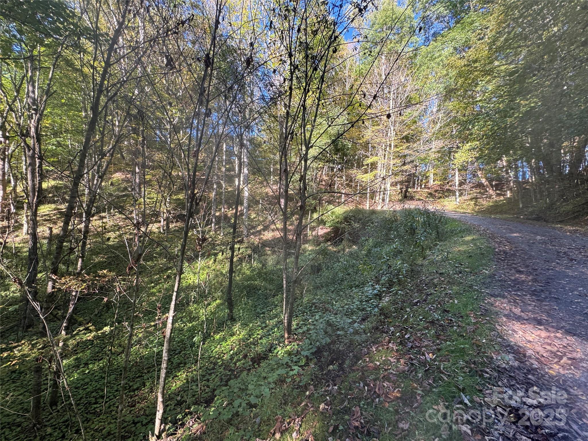 9 Susanna Cove Mars Hill NC 28754