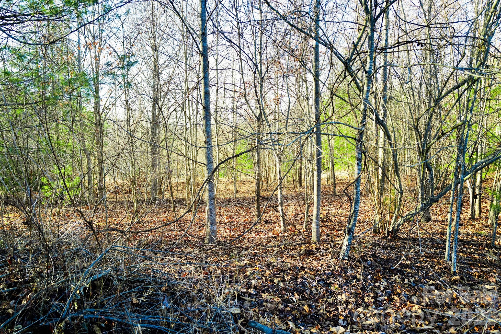 000 River Way Spruce Pine NC 28777