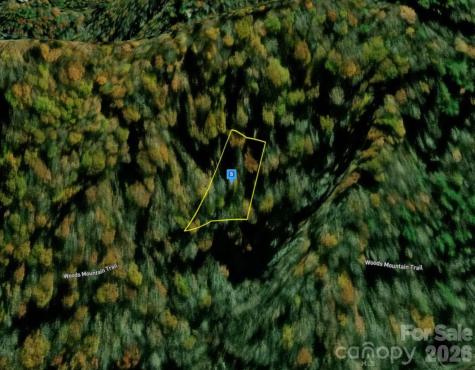 44 Greycliff Mountain Drive Cullowhee NC 28723