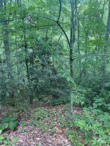 0 Cedar Creek Road Lake Lure NC 28746