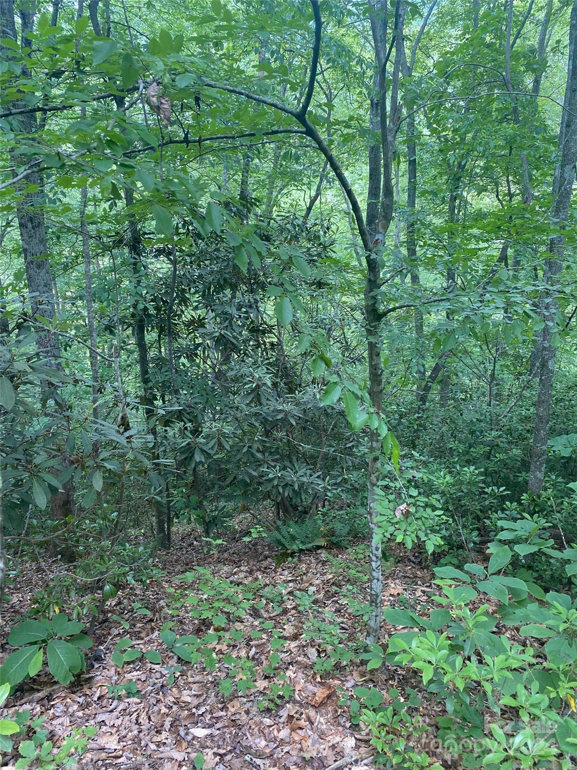 0 Cedar Creek Road Lake Lure NC 28746