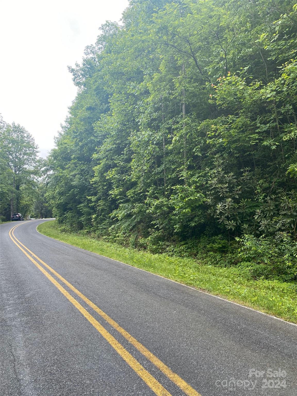 0 Cedar Creek Road Lake Lure NC 28746