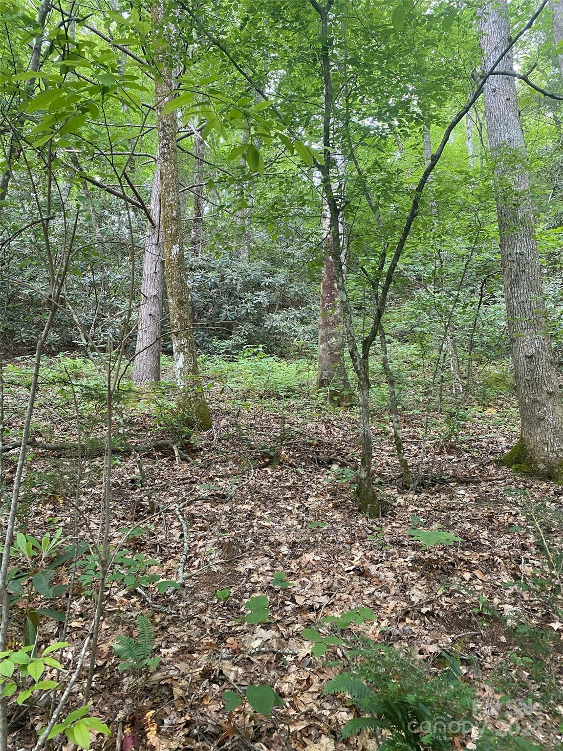 0 Cedar Creek Road Lake Lure NC 28746