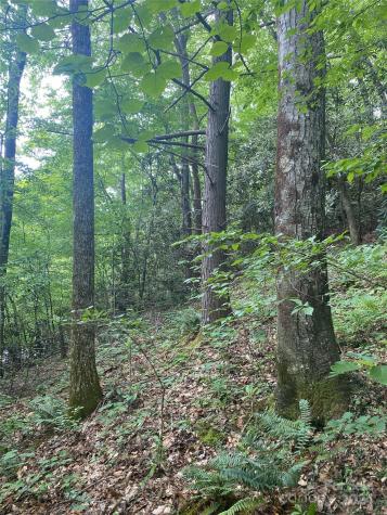 0 Cedar Creek Road Lake Lure NC 28746