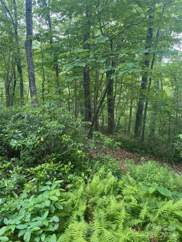 0 Cedar Creek Road Lake Lure NC 28746