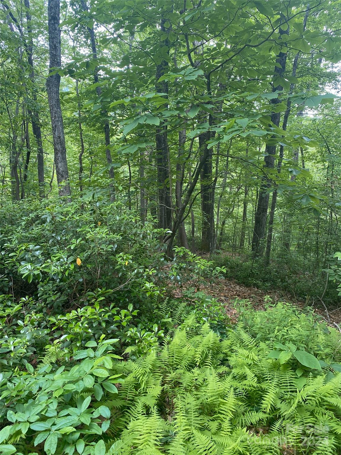 0 Cedar Creek Road Lake Lure NC 28746
