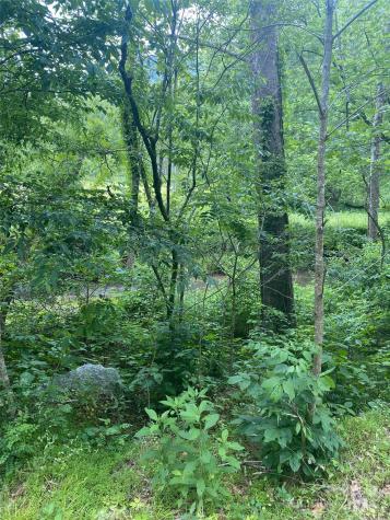 0 Cedar Creek Road Lake Lure NC 28746