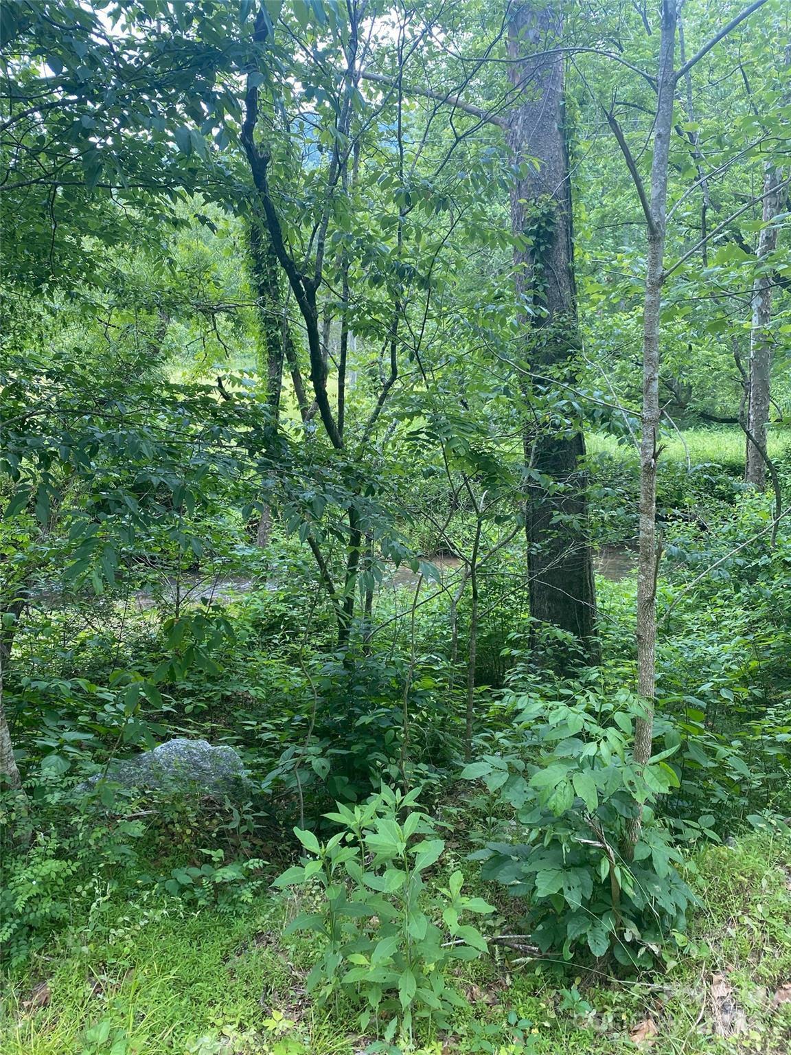 0 Cedar Creek Road Lake Lure NC 28746