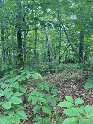 0 Cedar Creek Road Lake Lure NC 28746