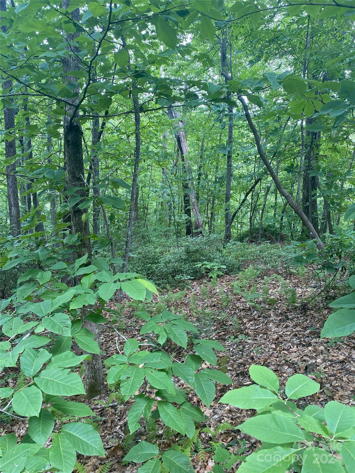 0 Cedar Creek Road Lake Lure NC 28746