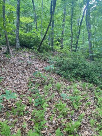 0 Cedar Creek Road Lake Lure NC 28746