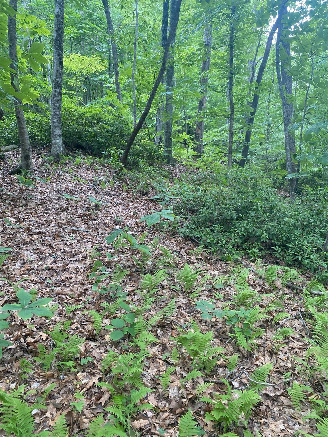 0 Cedar Creek Road Lake Lure NC 28746