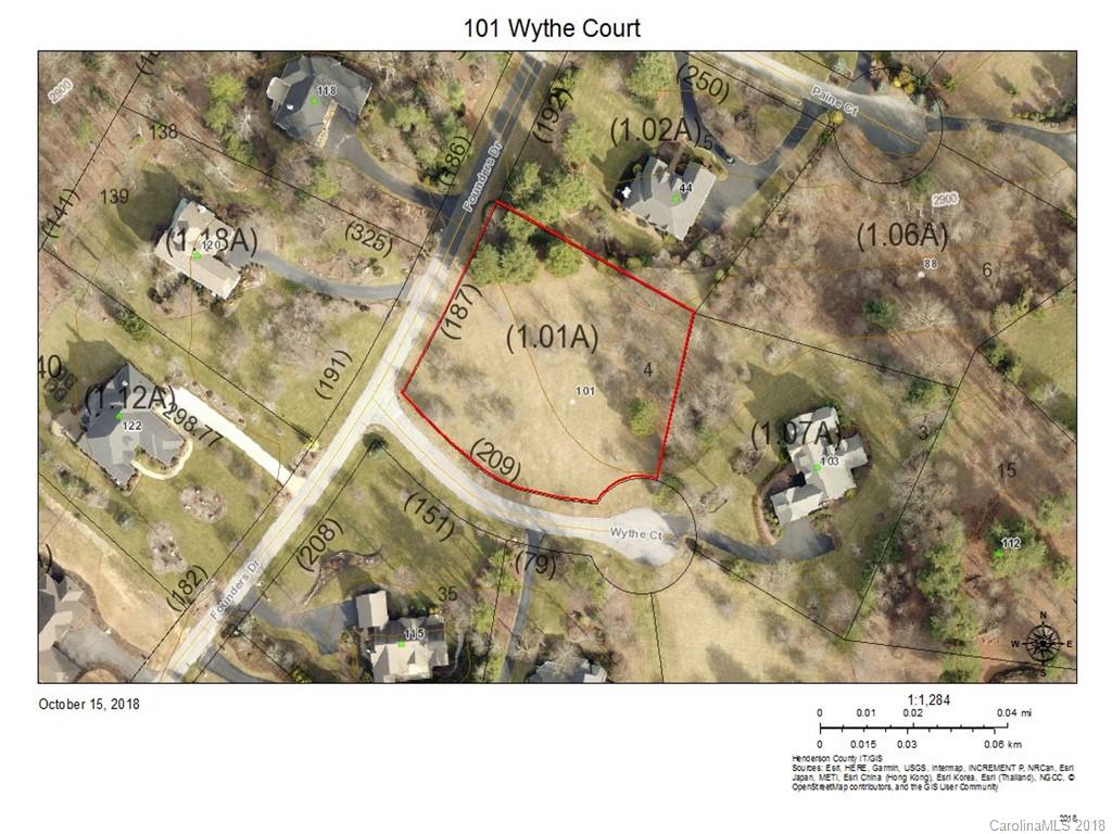 101 Wythe Court Flat Rock NC 28731