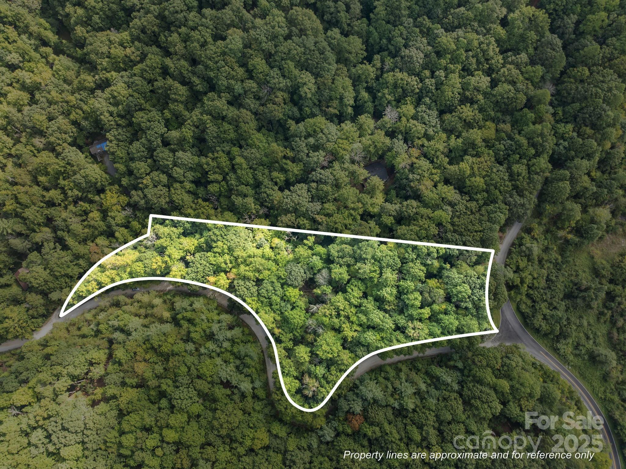 1 Rixhaven Drive Saluda NC 28773