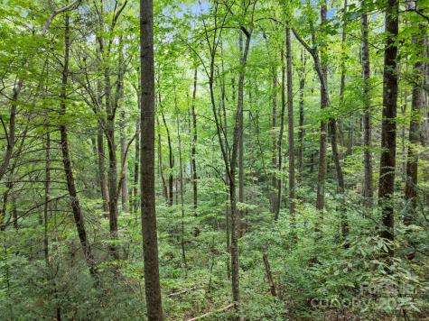 1 Rixhaven Drive Saluda NC 28773