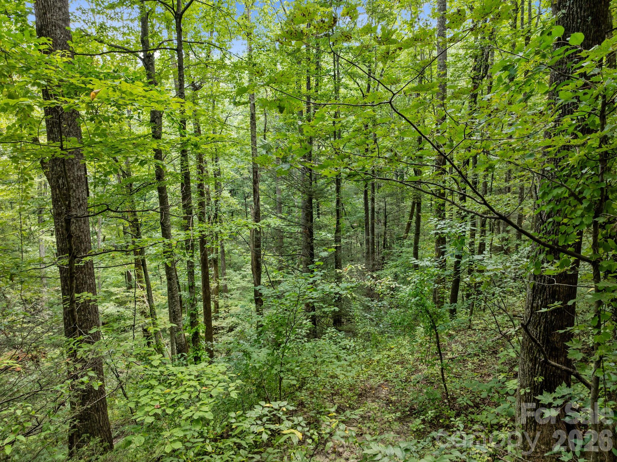 1 Rixhaven Drive Saluda NC 28773