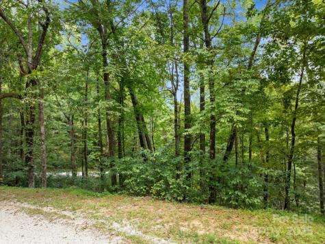 1 Rixhaven Drive Saluda NC 28773