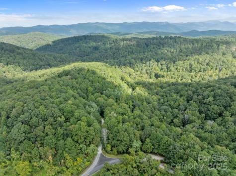 1 Rixhaven Drive Saluda NC 28773