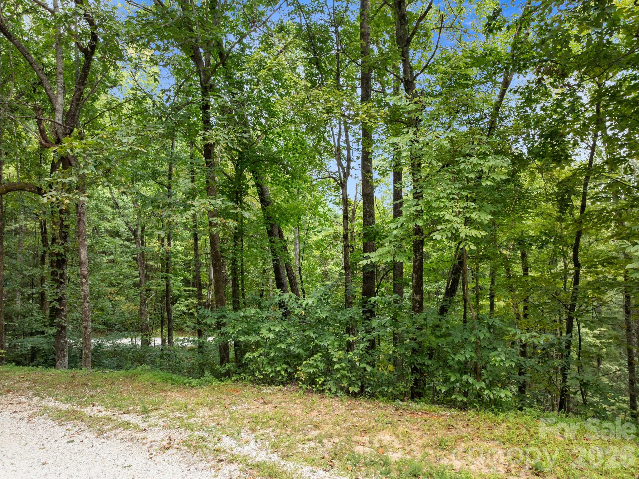 1 Rixhaven Drive Saluda NC 28773