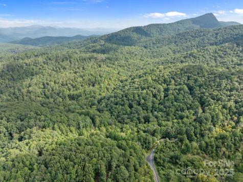 1 Rixhaven Drive Saluda NC 28773