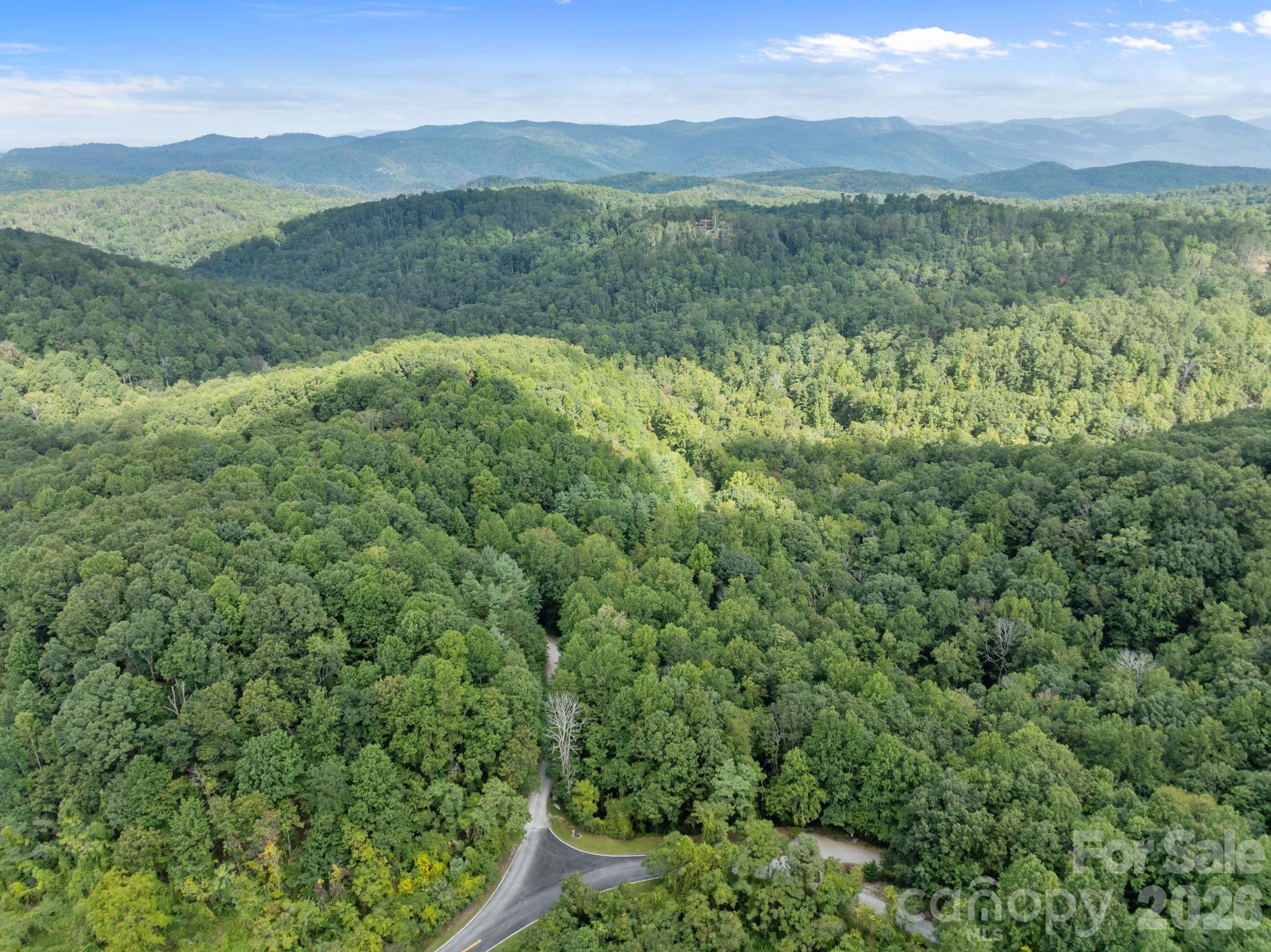 1 Rixhaven Drive Saluda NC 28773