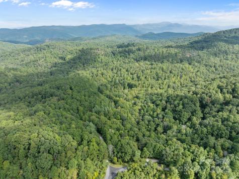 1 Rixhaven Drive Saluda NC 28773