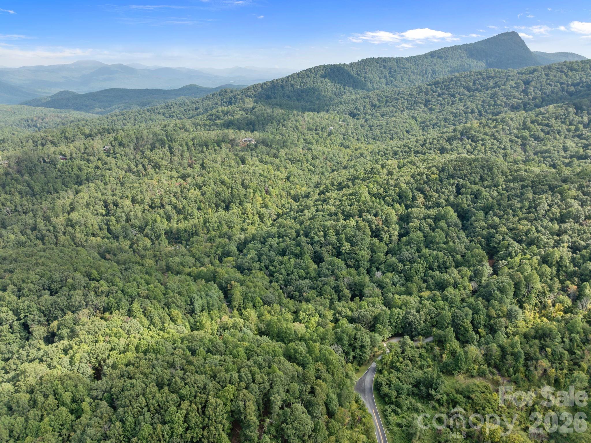 1 Rixhaven Drive Saluda NC 28773