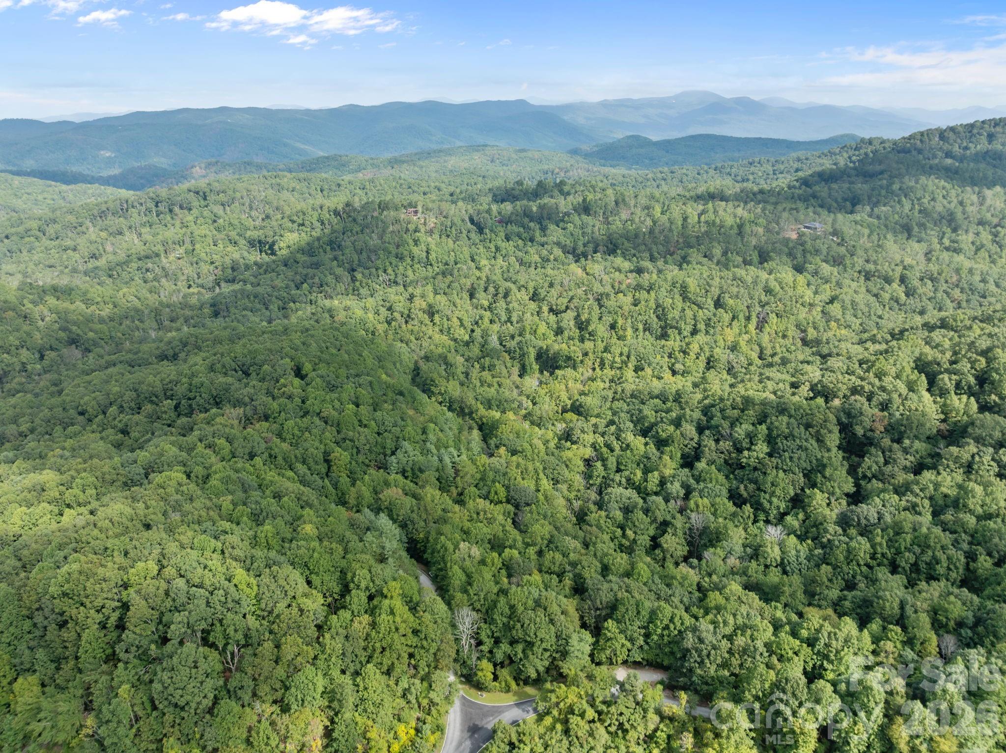 1 Rixhaven Drive Saluda NC 28773