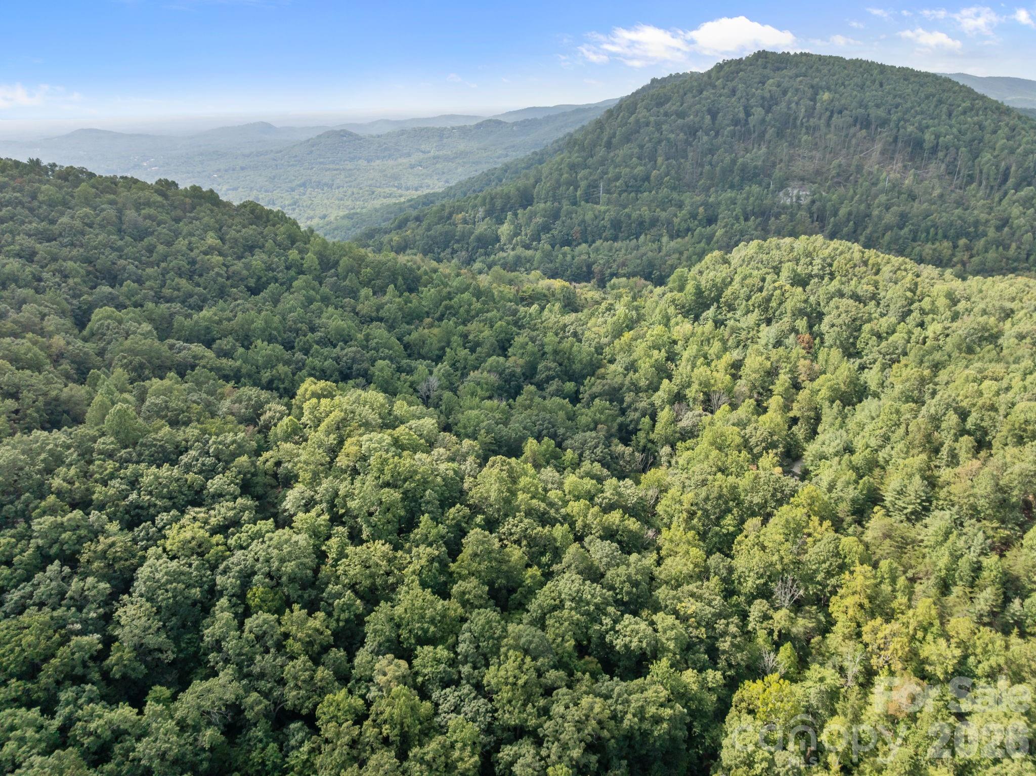 1 Rixhaven Drive Saluda NC 28773