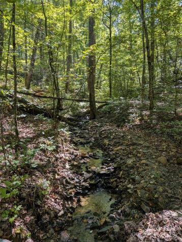 1 Rixhaven Drive Saluda NC 28773